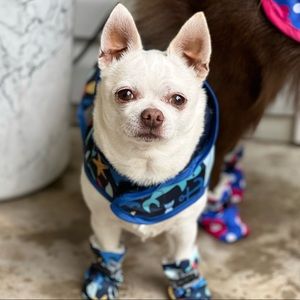 Meet your Posher, Nancy